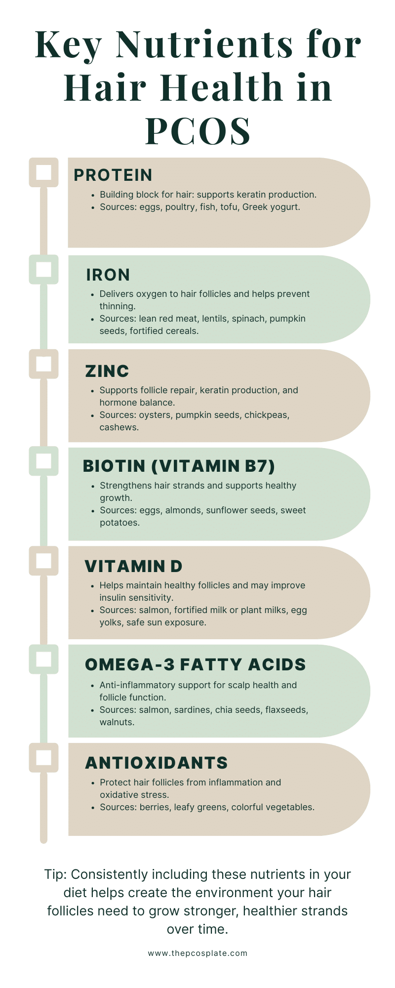 Infographic showing key nutrients for hair health in PCOS, including protein, iron, zinc, biotin, vitamin D, omega-3 fatty acids, and antioxidants, with examples of foods like eggs, salmon, leafy greens, nuts, and seeds to support hair growth and reduce thinning.